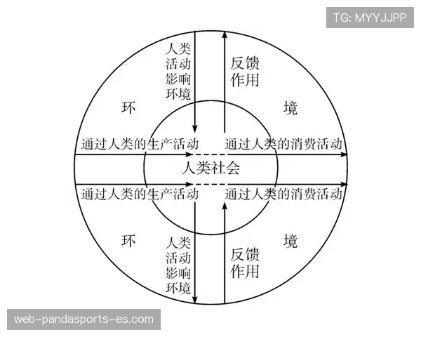 萨卡从多面手到绝对核心的角色演变解析