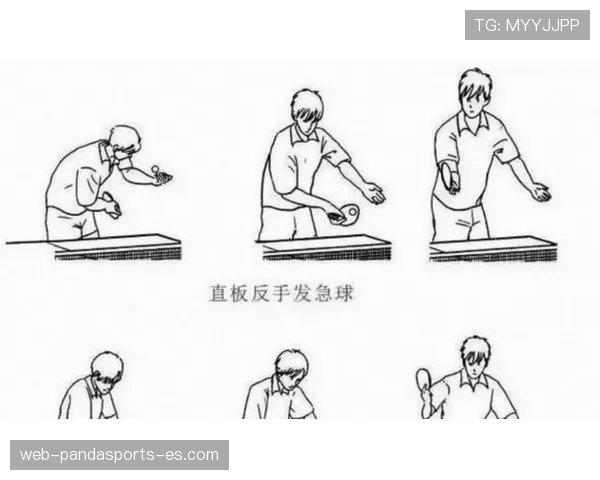 深入分析持球启动规则中确立中枢脚及合法移动的具体判罚标准